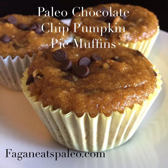 Paleo Chocolate Chip Pumpkin Pie Muffins