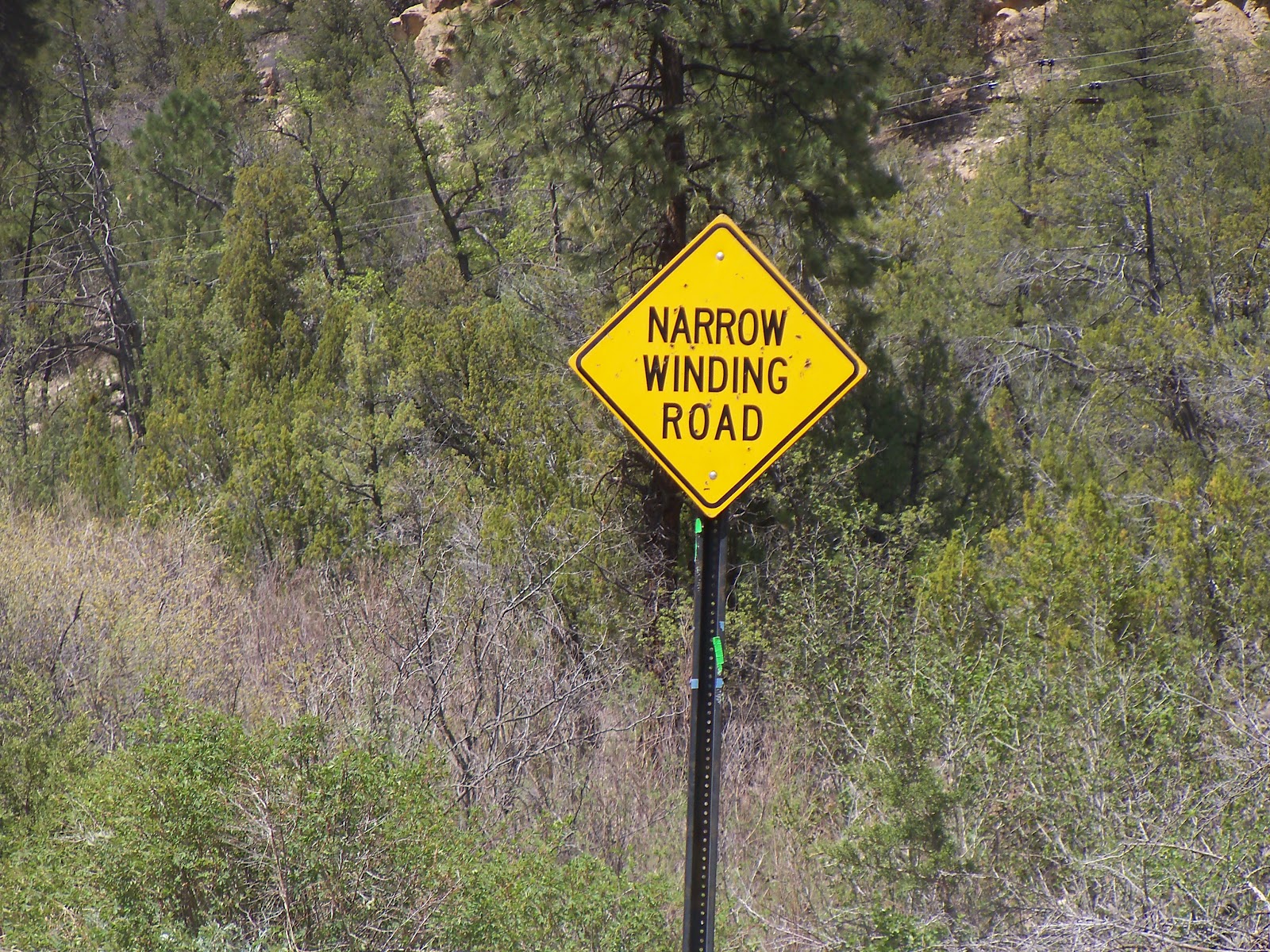 Tumbleweed Crossing Winding Road