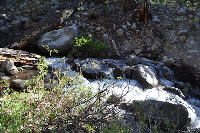 rocky white water trail crossing