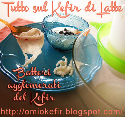 Fermenti vivi del Kefir per produrre Kefir di latte e kefir d'acqua