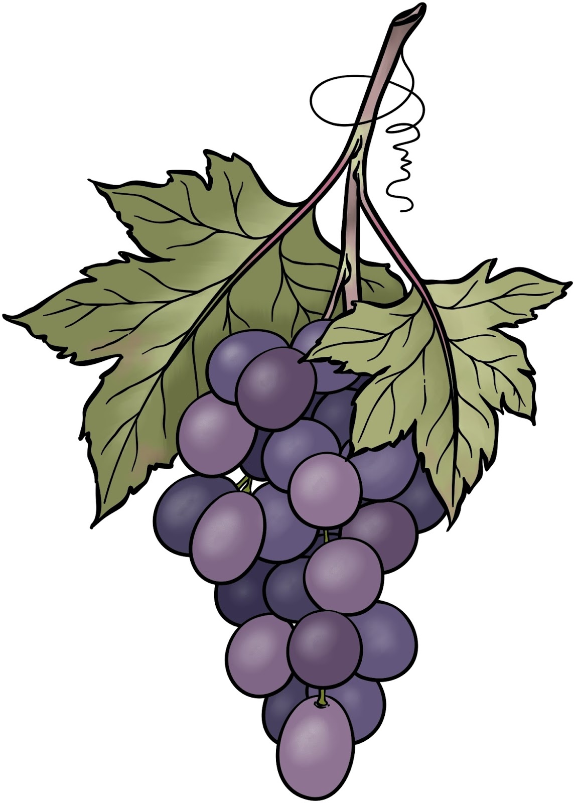 beccy-s-place-bunch-of-grapes