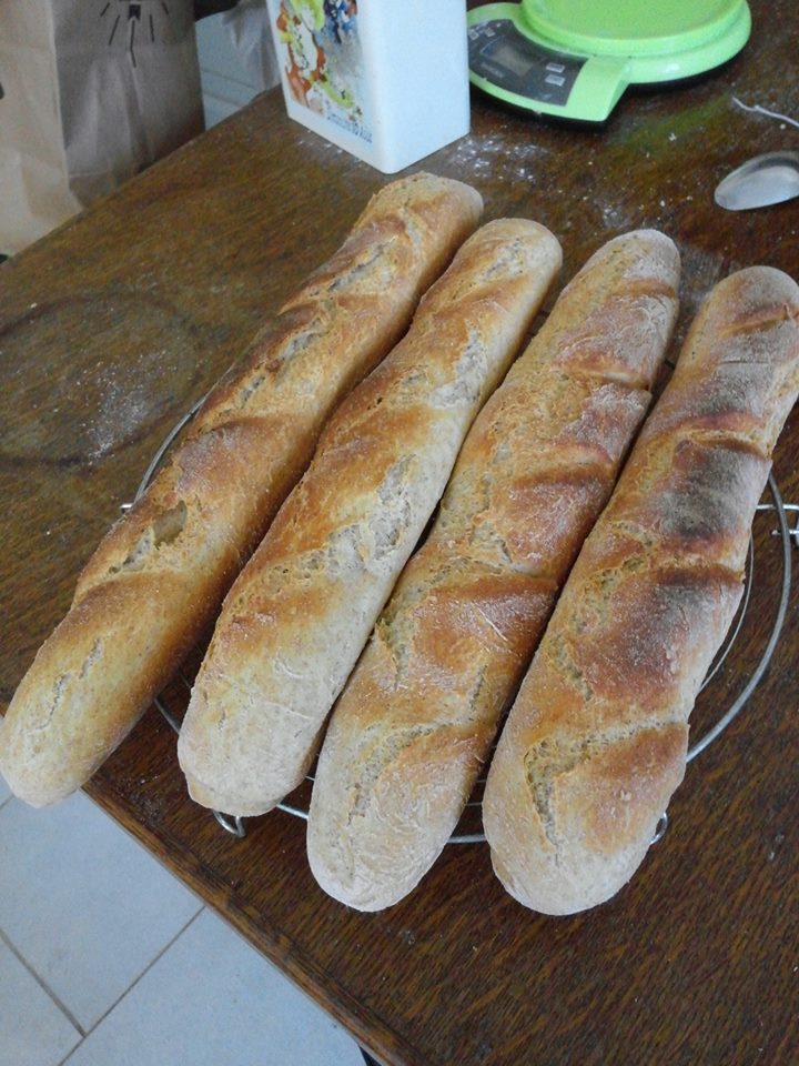 A B C vos IG *Baguettes de tradition (farine intégrale T150) (Ig Bas) A B C vos IG *Baguettes de tradition (farine intégrale T150) (Ig Bas)