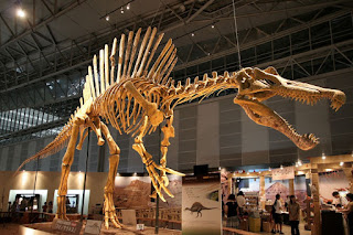 Esqueleto Spinosaurus