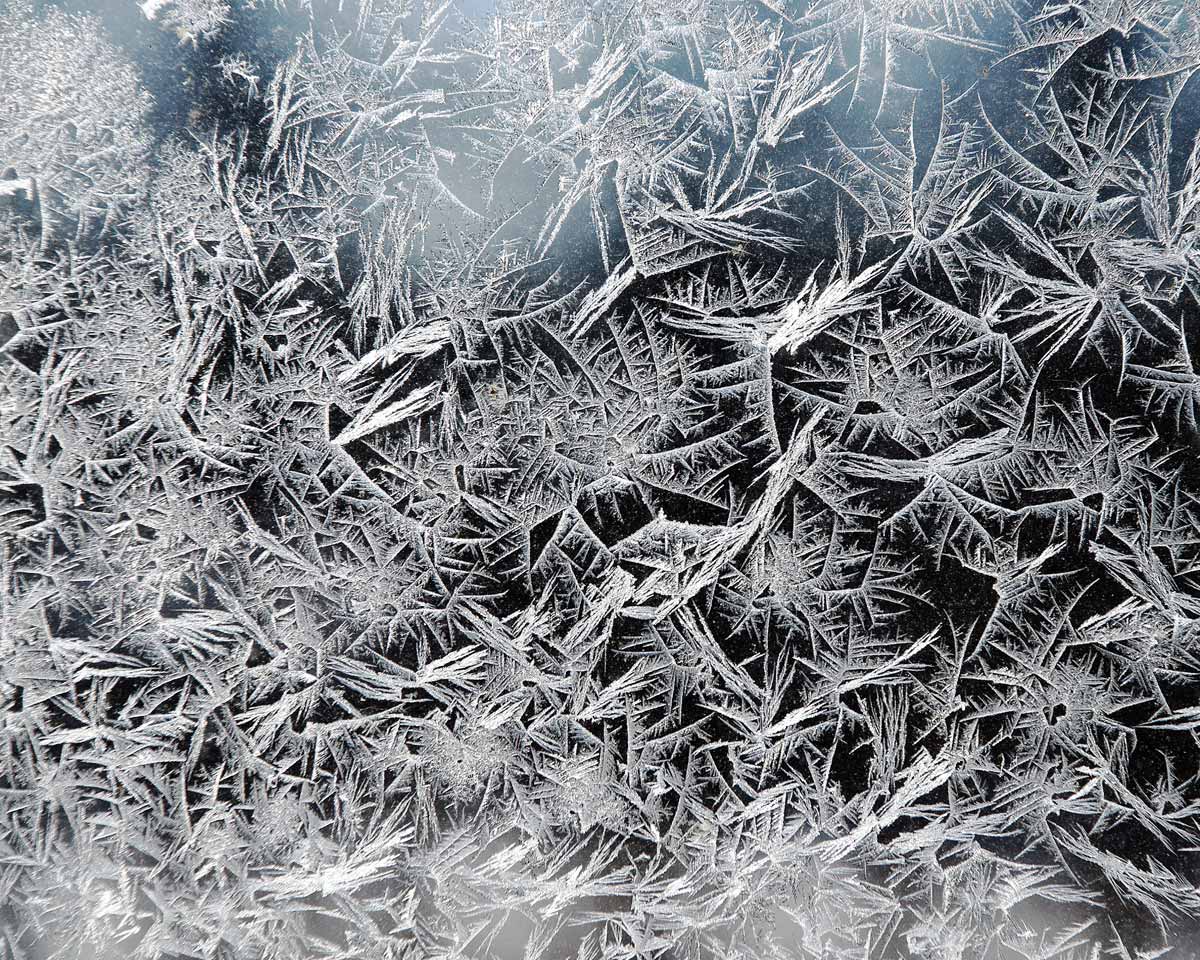 Frost from Polar Vortex by Jeanne Selep