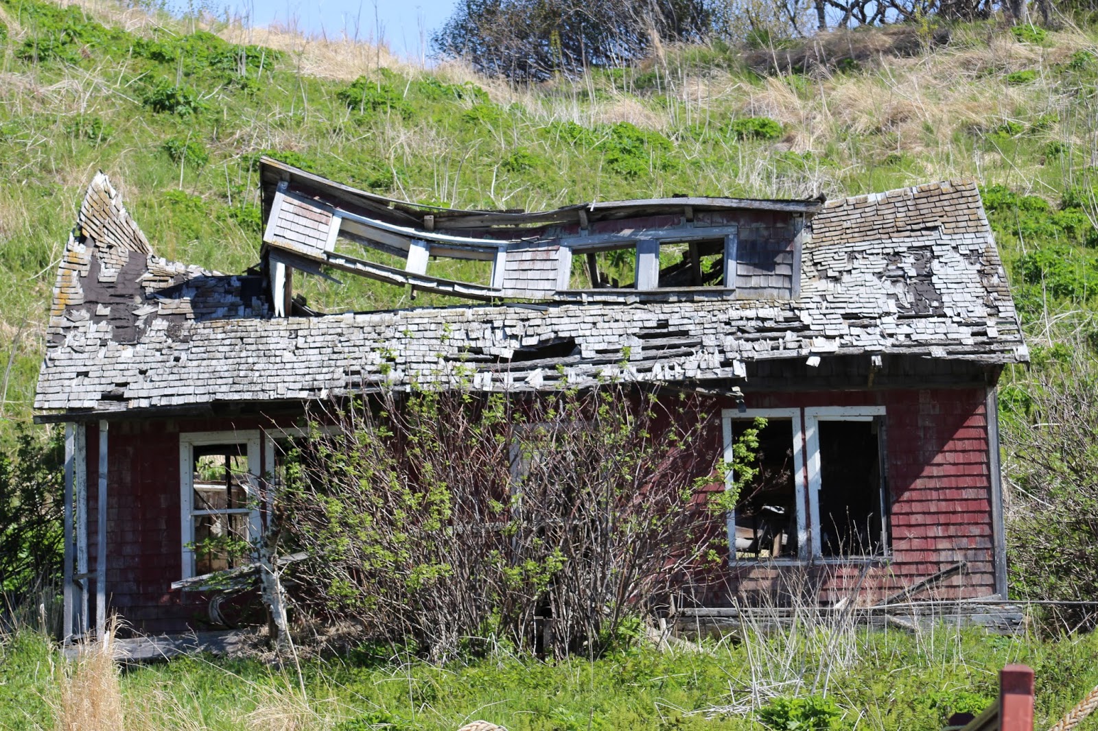 Along the Geronimo Creek Alaska Explored Kenai Peninsula