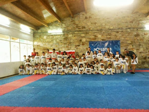 DBOK Escuela de Taekwondo
