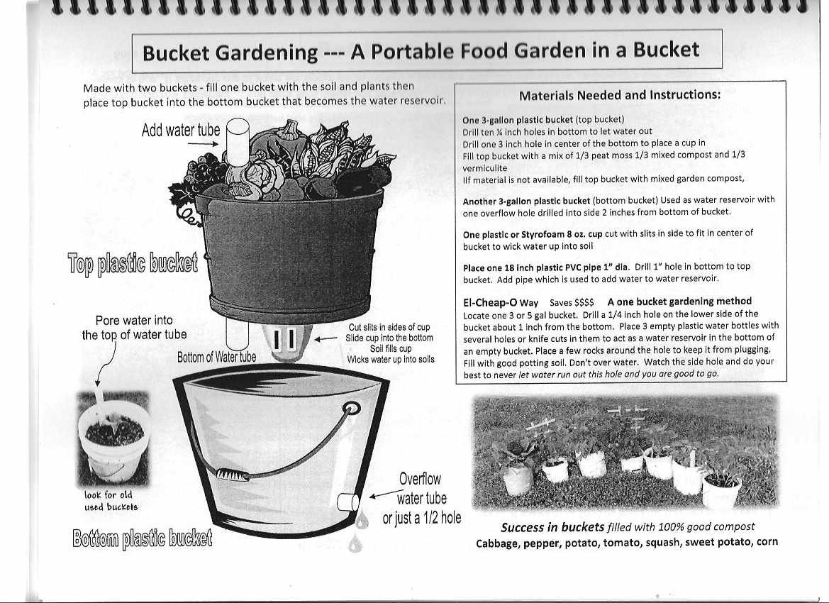 Gardening for Life Discovering New Ways To Feed The World Bucket Gardening Idea