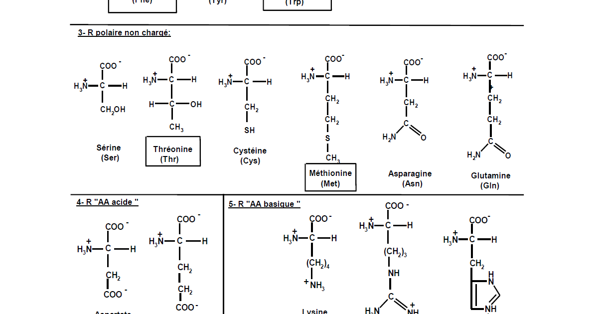 Liste Des Acides Amines bamhaoud.blogspot.com