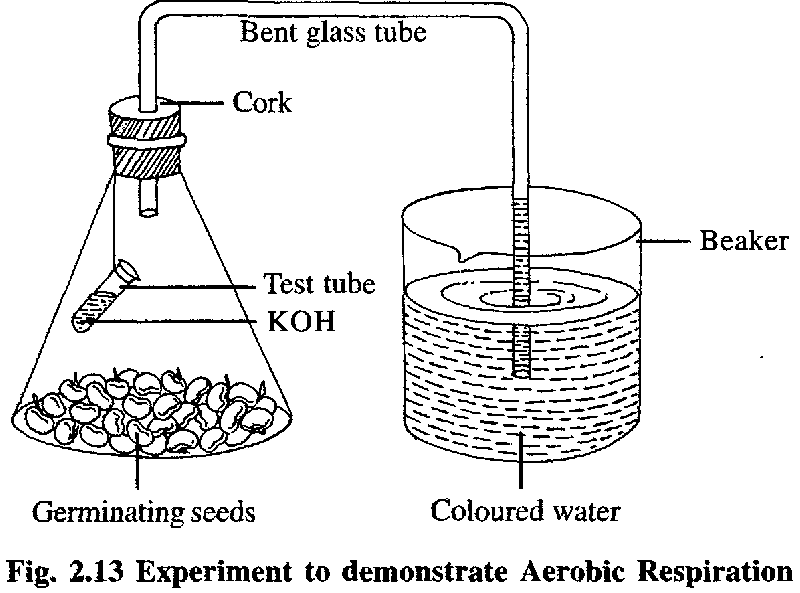 Неизвестные контейнеры квест маджестик. Эксперимент к c. Опыт качественное определение углерода. Эксперимент к c. Эксперимент куотермасса 2005.