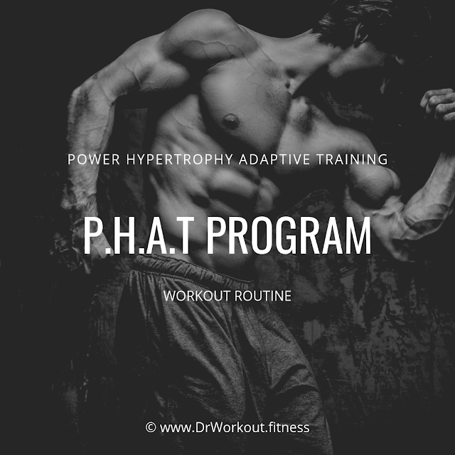 Power Hypertrophy Adaptive Training (PHAT) Workout Routine