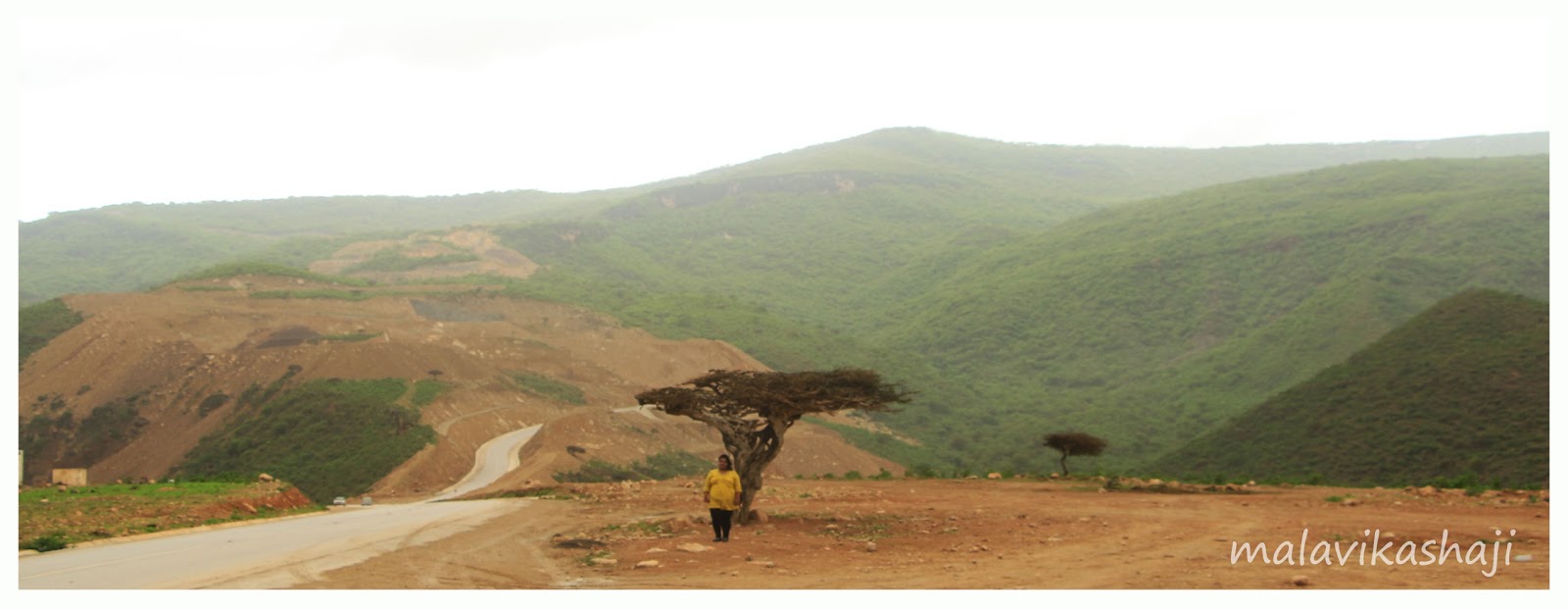 SHAJI K NADESAN PHOTOGRAPHY Road in Mirbat, Salalah