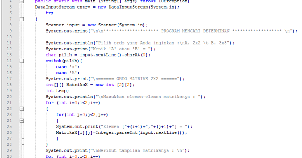 Nemure no King Program Determinan dengan Java