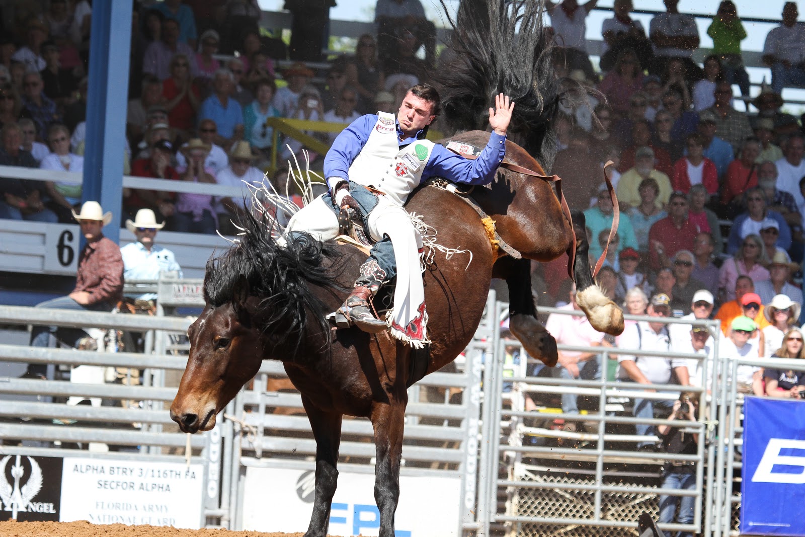 I Took It... FLORIDA RODEO DAYS IN ARCADIA