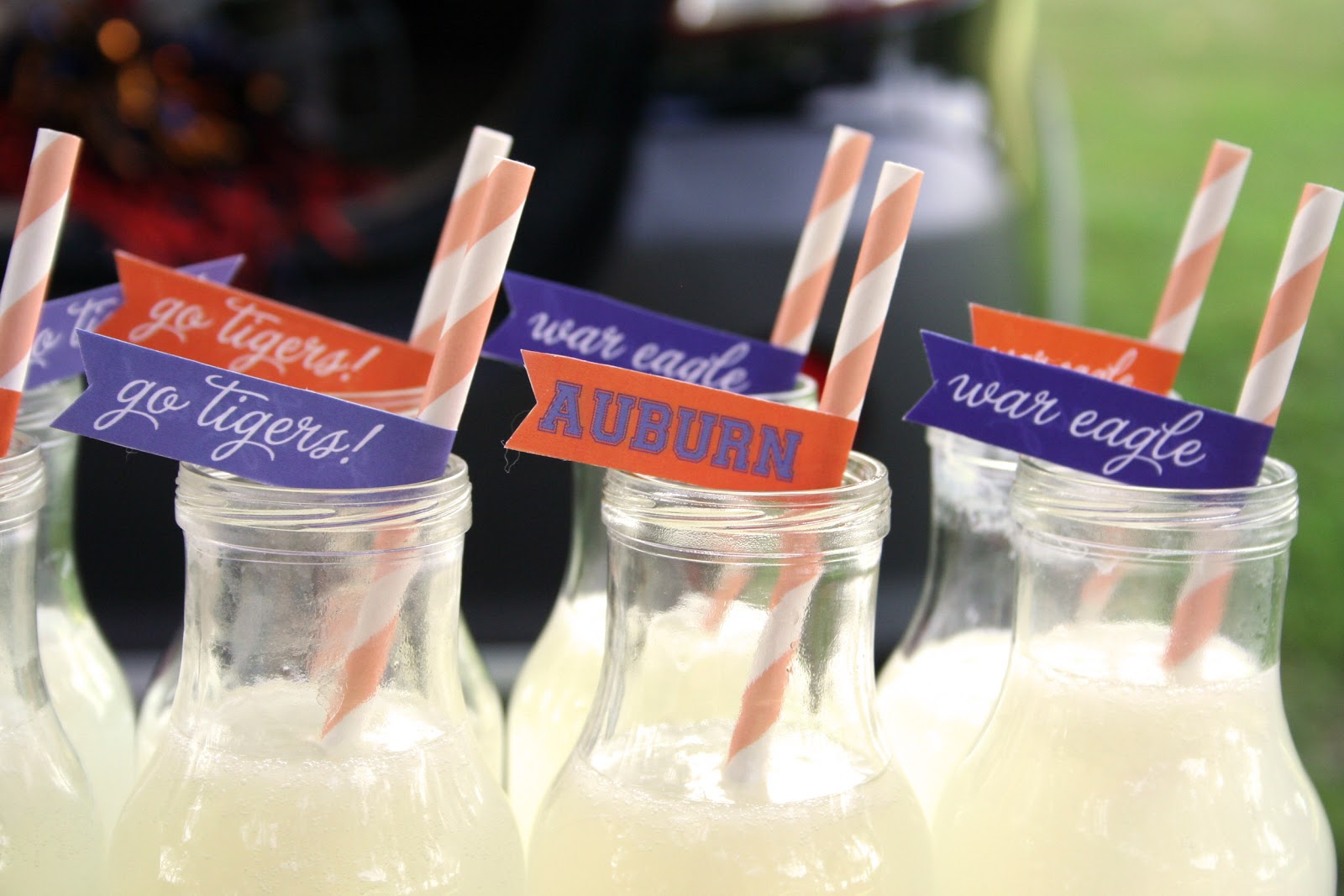 Party Chatter Auburn Tailgate At It's Best!