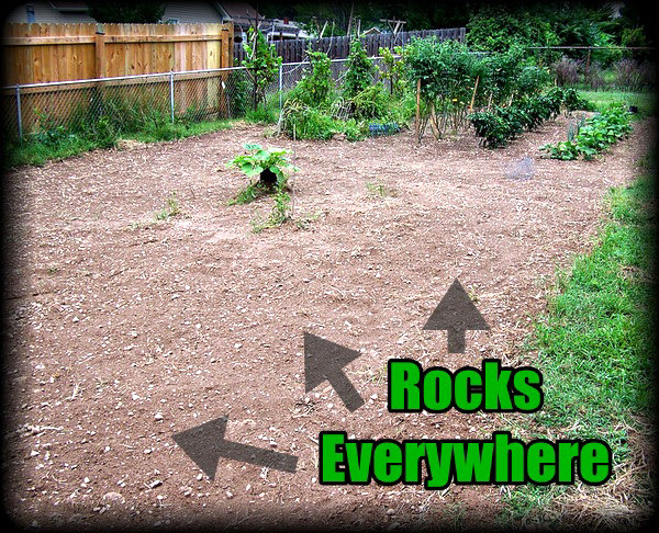 LushGreenVA: Landscaping Using Your Own Garden Rocks