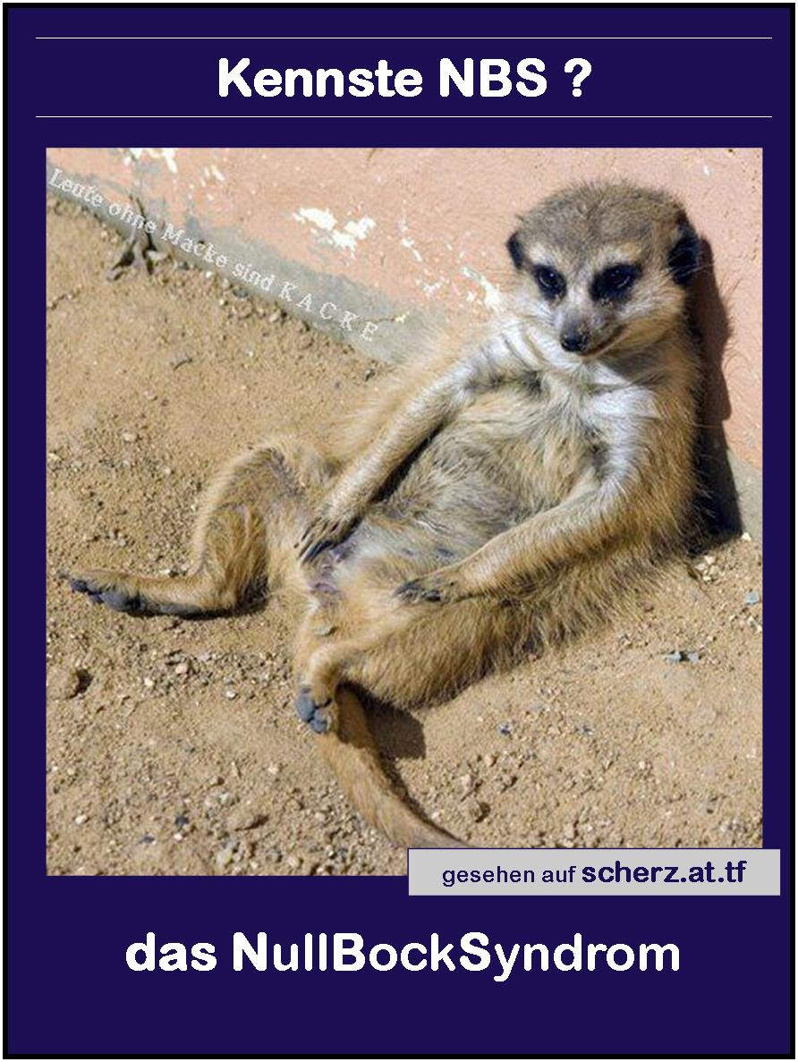 Null Bock Sprüche Null Bock Sprüche
