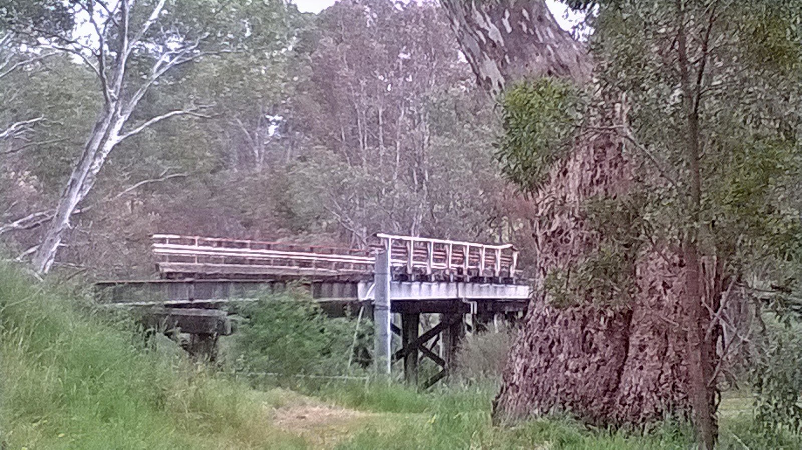 ANYTHING BUT HUMAN OLD GOULBURN RIVER BRIDGE
