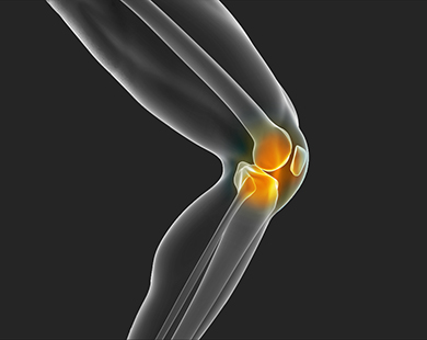 flexia articulațiilor genunchiului