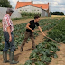 Consommez bio, local et solidaire : adhérez à Weppes en Bio !