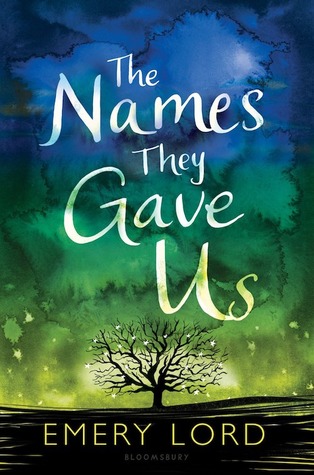 The Names They Gave Us book cover