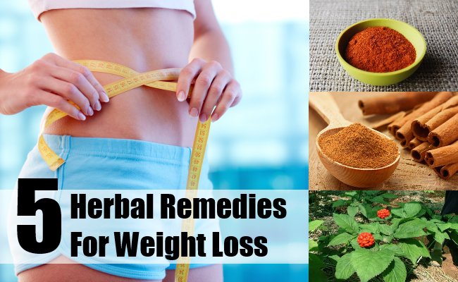 Top 5 Herbs For Weight Loss Natural Remedies And Treatment