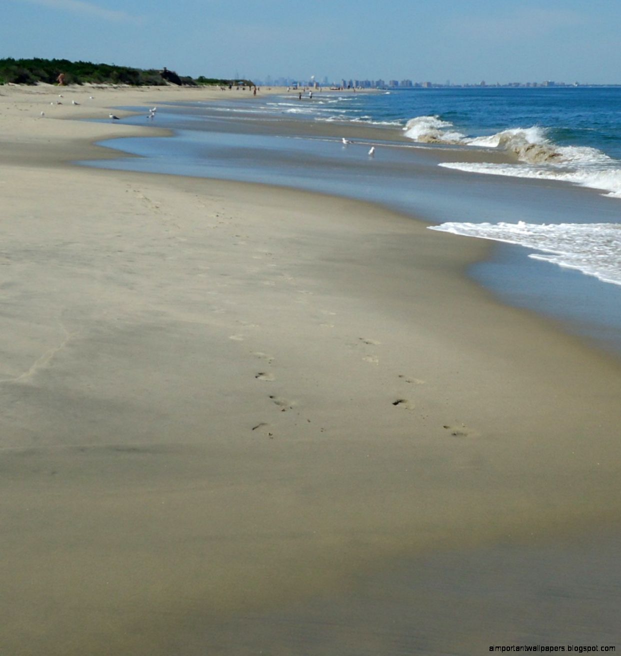 FileSandy Hook beach NJ view of sand and waves   Wikimedia