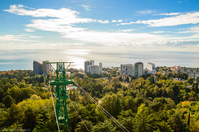 Вид со смотровой в Дендропарке Сочи Путешествия: Вид со смотровой в Дендропарке Сочи