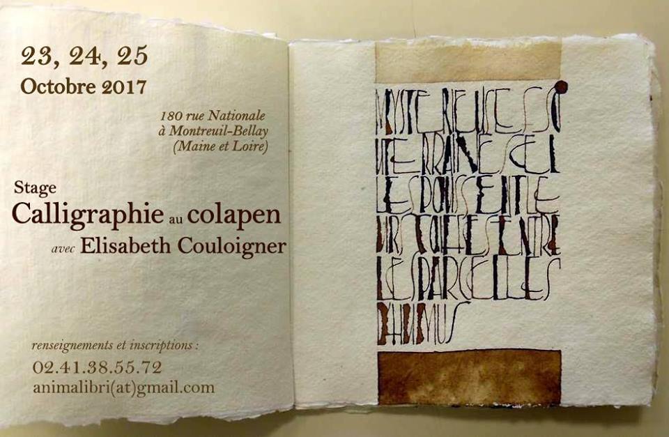 L Ivre De Lettres Et De Couleurs Tracer Et Calligraphier Au