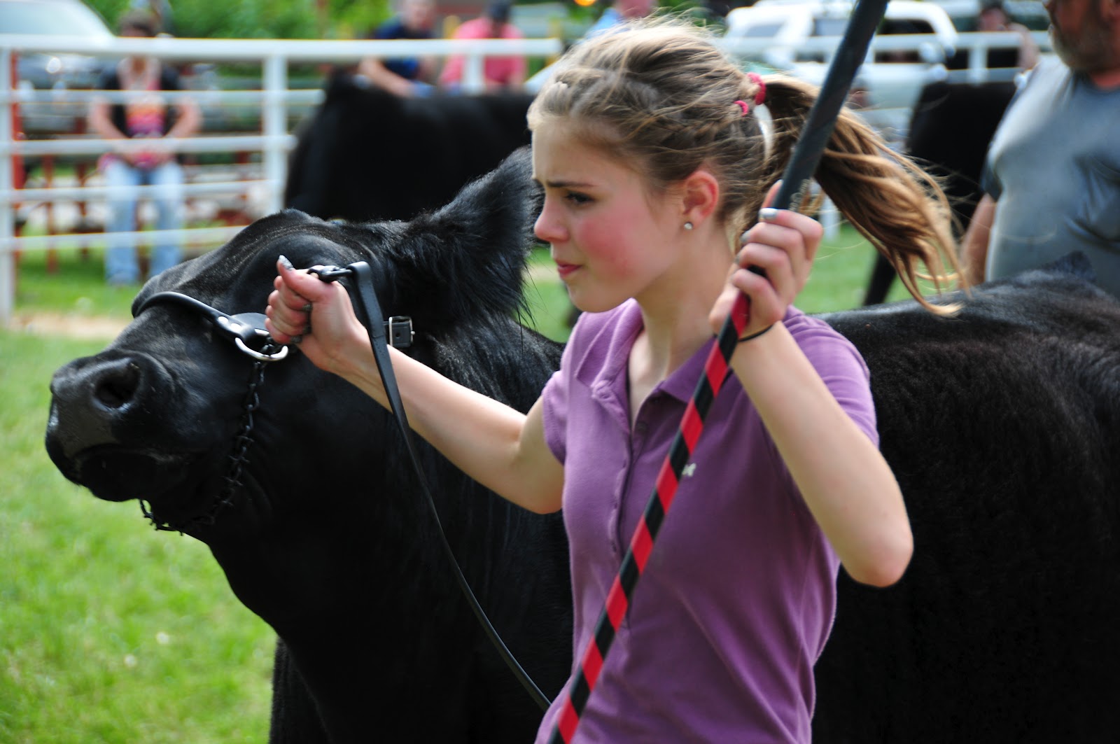 Trausch Farms Cass County Fair, Atlantic, Iowa