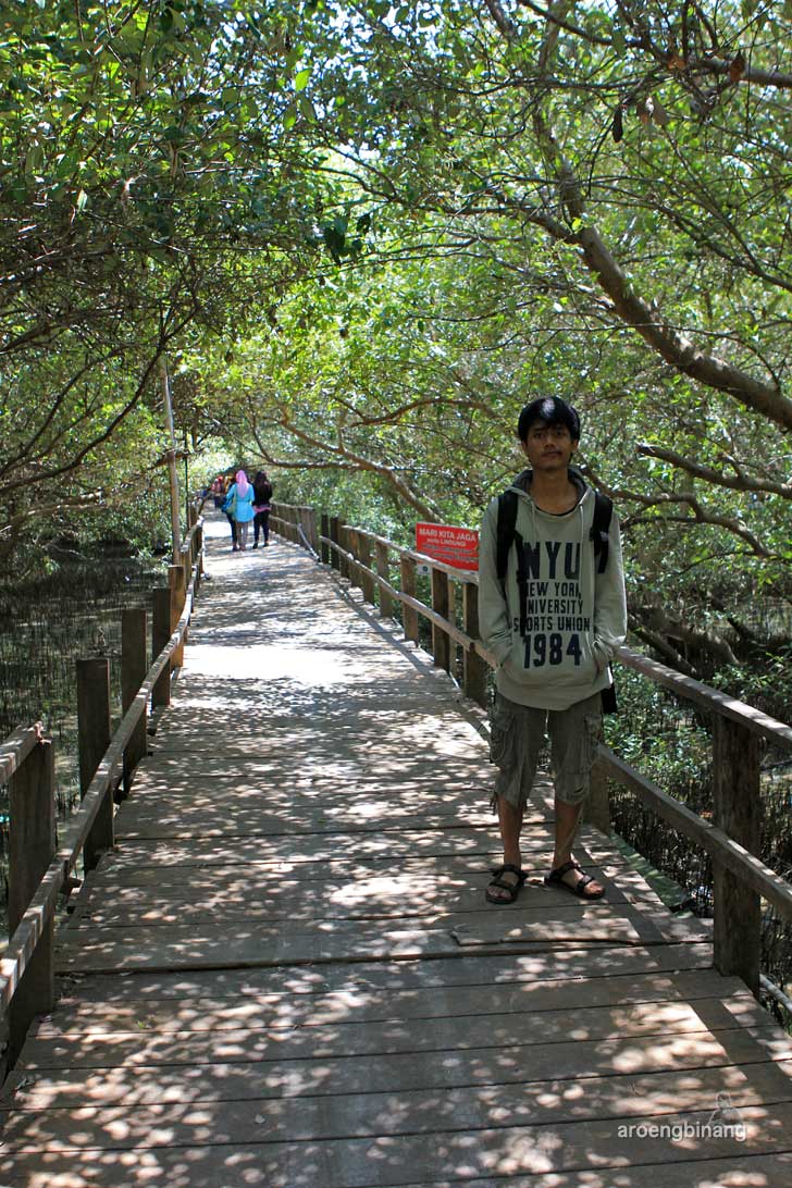 taman mangrove morosari demak