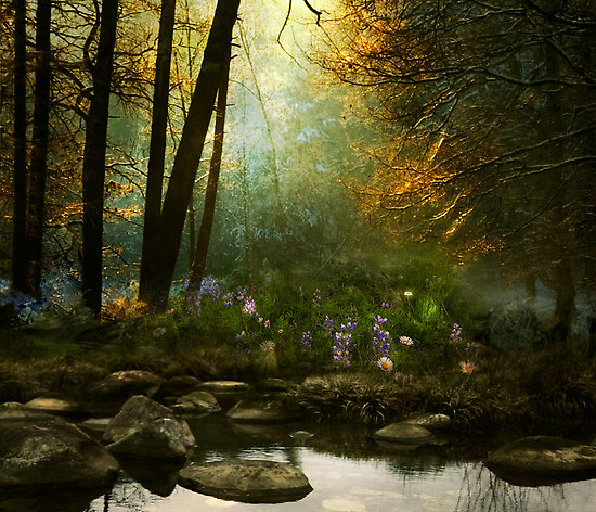 Funny Pictures Gallery: Forest background, forest backgrounds, forest ...