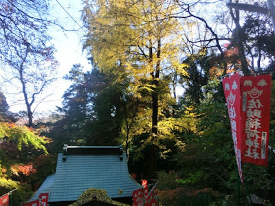  佐助稲荷神社の紅葉