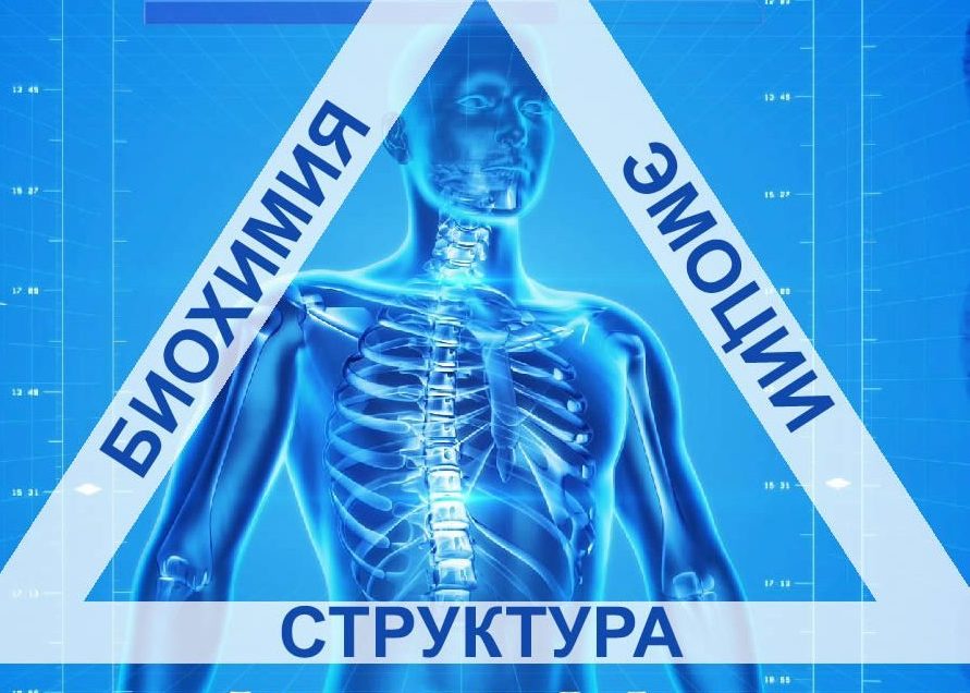кинезиология для дошкольников презентация кинезиология для дошкольников презентация
