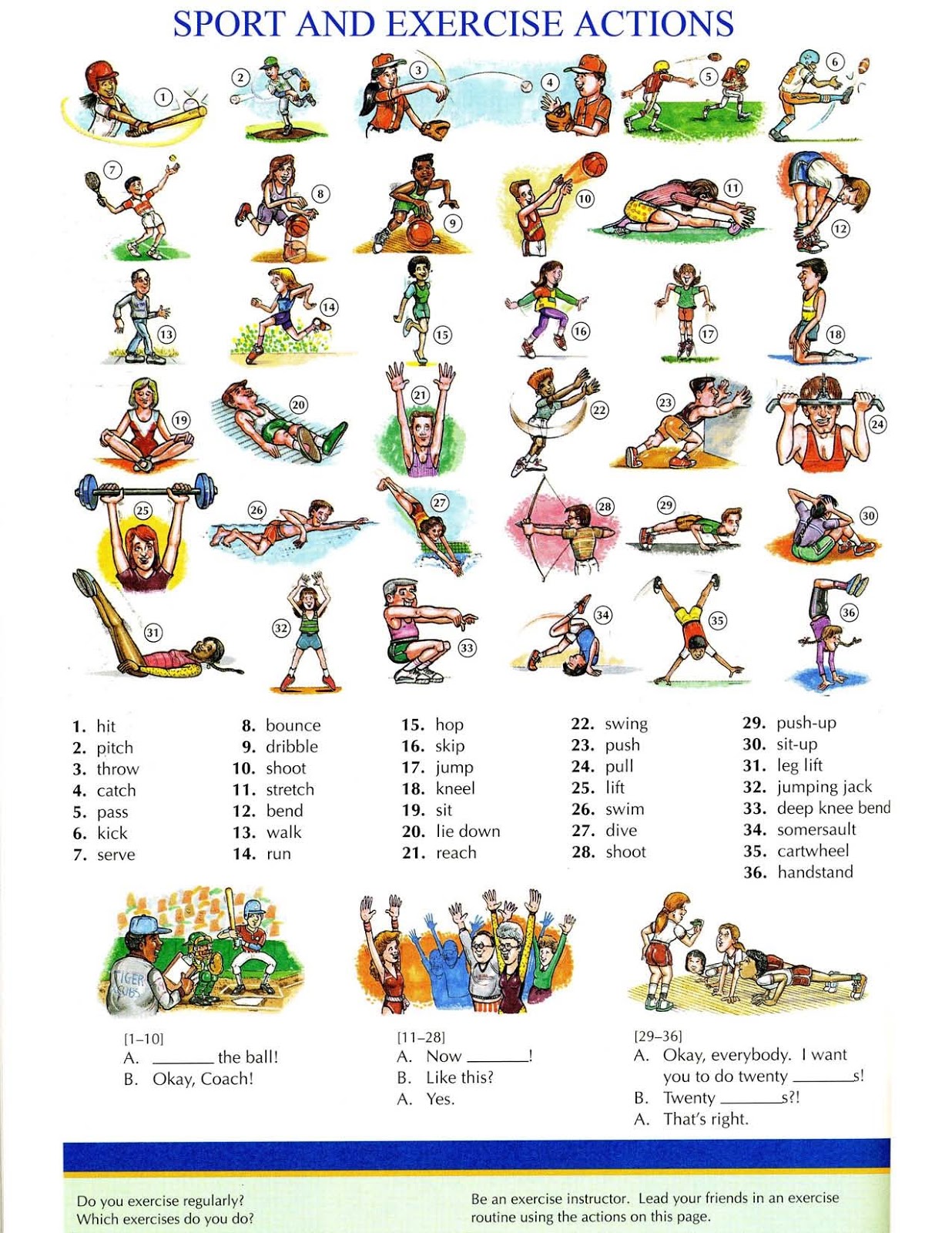 English vocabulary exercise. Спортивные упражнения на английском языке. Спорт на английском. Названия упражнений на английском языке. Физкультурные упражнения на английском.