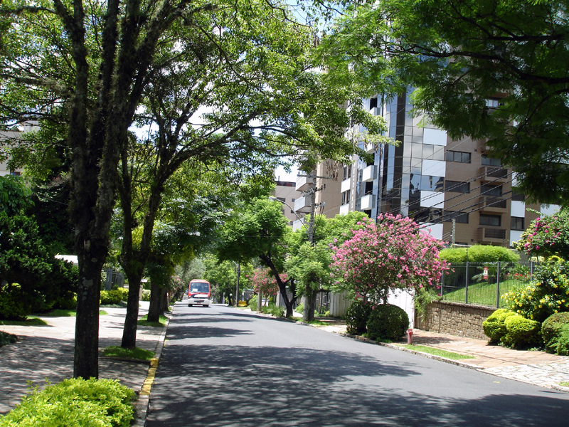 Cidade Verde Juntos por um Futuro Melhor. Ruas Arborizadas Cidade Verde Juntos por um Futuro Melhor. Ruas Arborizadas