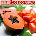 Ricas propriedades medicinais do papaia