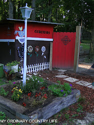 coop chickens walkabout finished project weeds pulled tlc needs