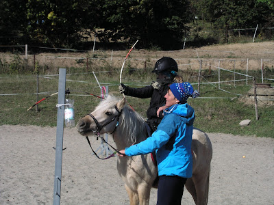 Hubertus 2015, jazda konna, konie, kucyki, konkurs tatarski, pensjonat dla koni w Węgrzcach