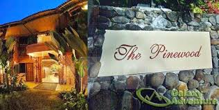 Puncak - Gathering Puncak Bogor