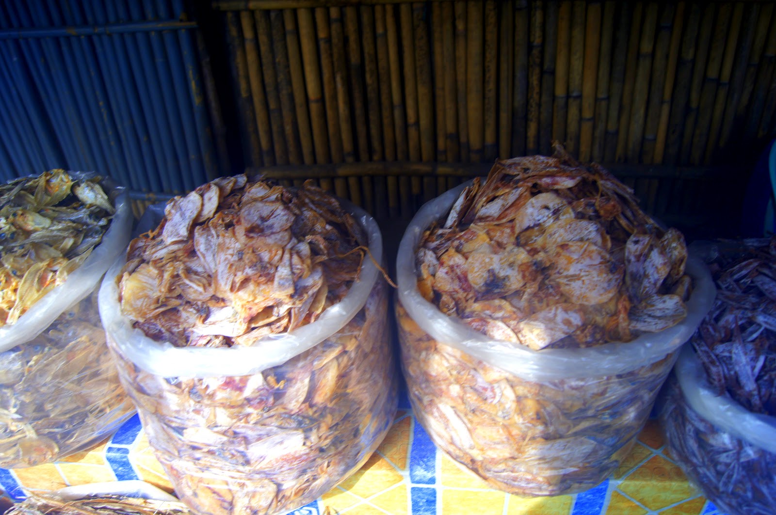 Our Enigmatic World: 