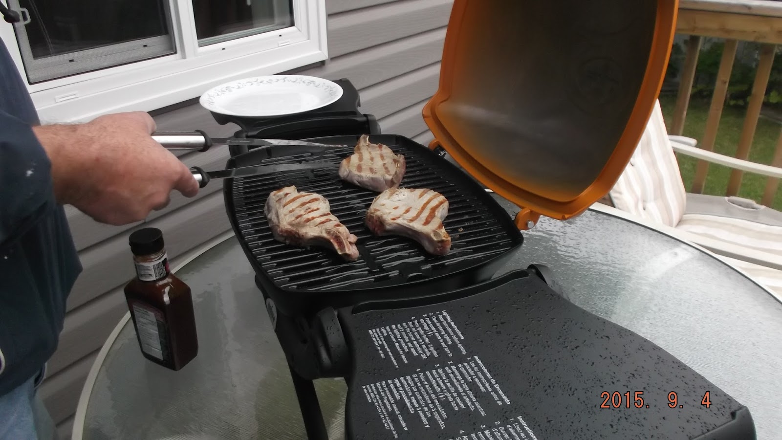 Stretching The One Income Dollar Review Weber Q1200