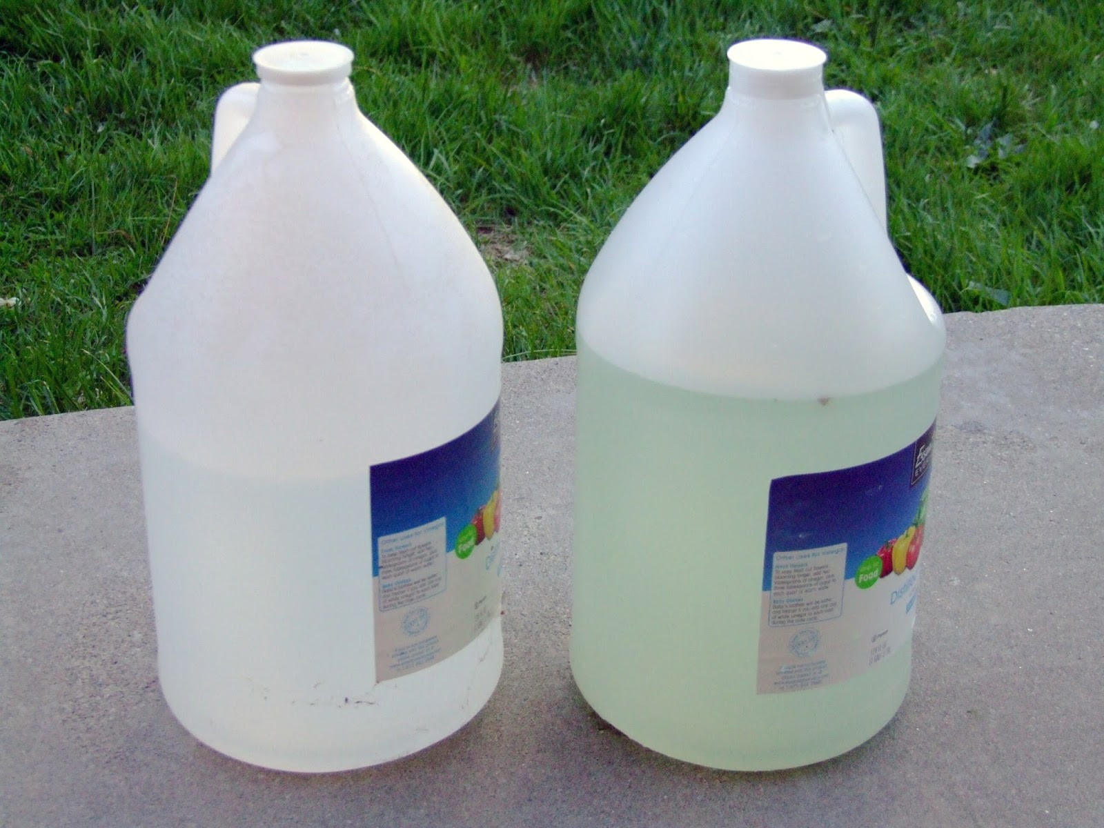 Living in the Shadow of Climate Change Tankless water heater annual