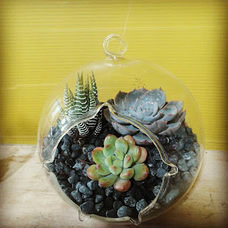 Terrarium Hà Nội