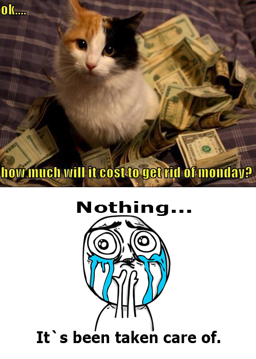 funny Cat Hates Monday Too