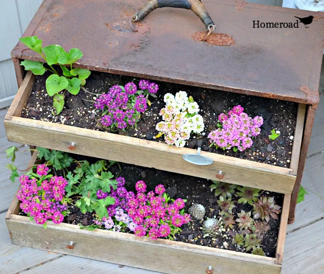 Vintage toolbox garden DIY filled with flowers