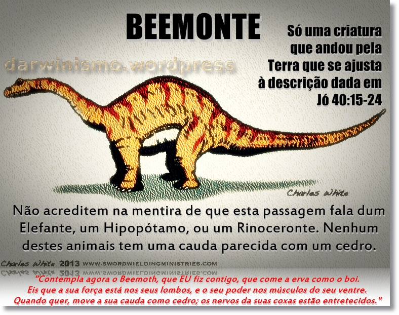 LANA MENSAGEIRO DINOSSAUROS O QUE A BÍBLIA DIZ SOBRE DINOSSAUROS LANA MENSAGEIRO DINOSSAUROS O QUE A BÍBLIA DIZ SOBRE DINOSSAUROS