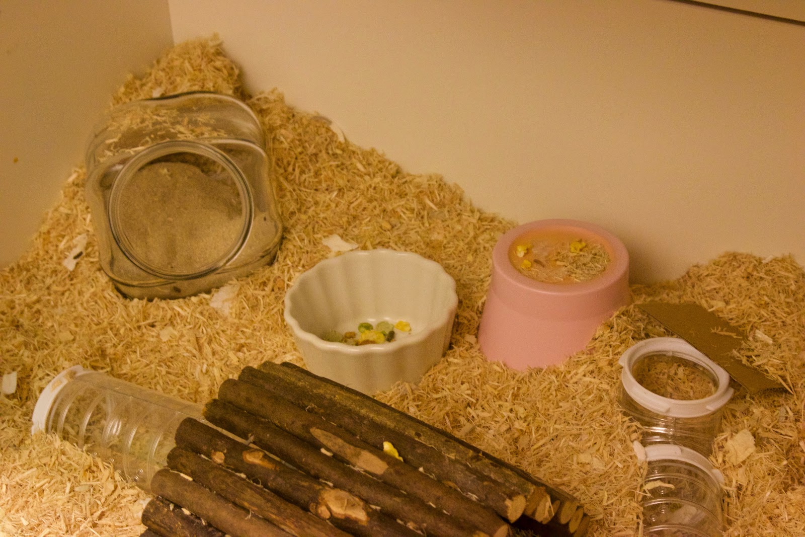 Kiss Me Always GoodNight Billy Extension Hamster Cage