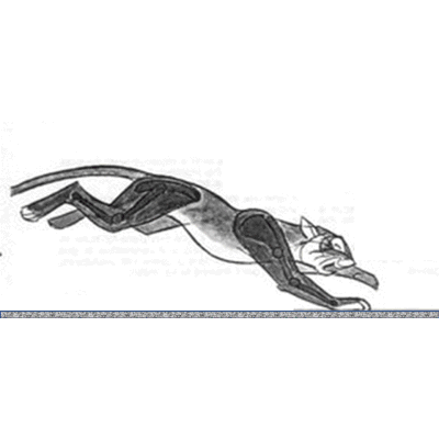 Membuat gambar bergerak animasi  macan berlari dengan power 