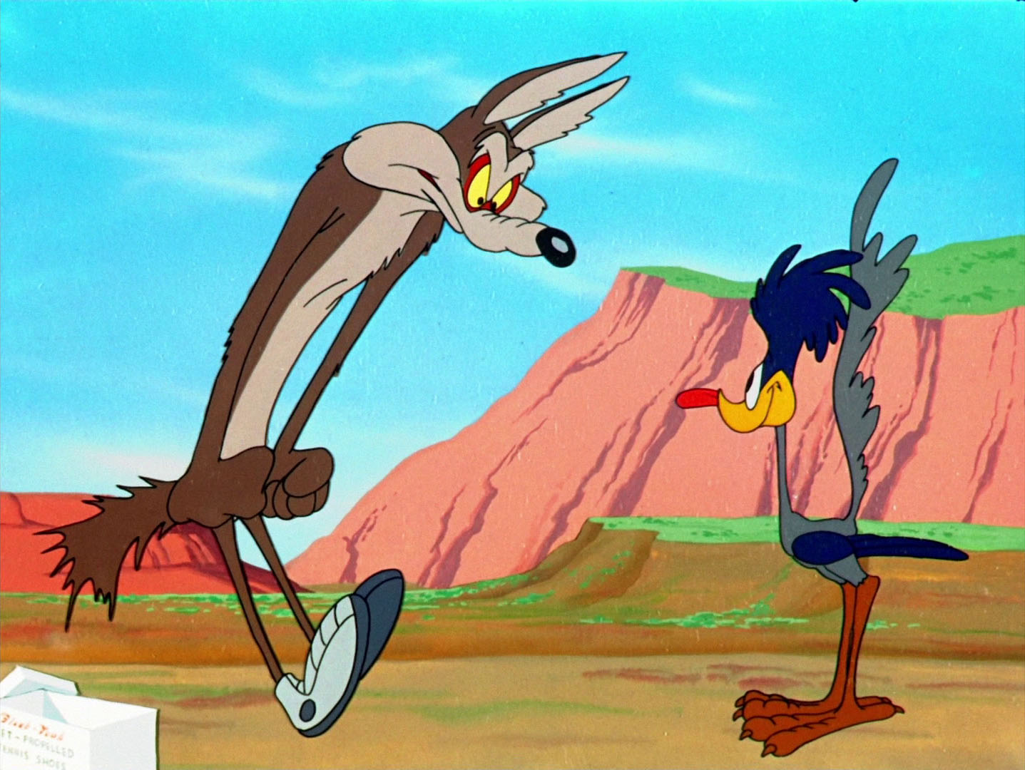Road Runner. tom and jerry games. movies. animated movies. 
