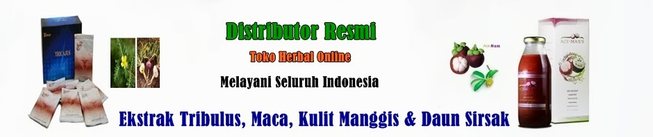 Distributor Resmi